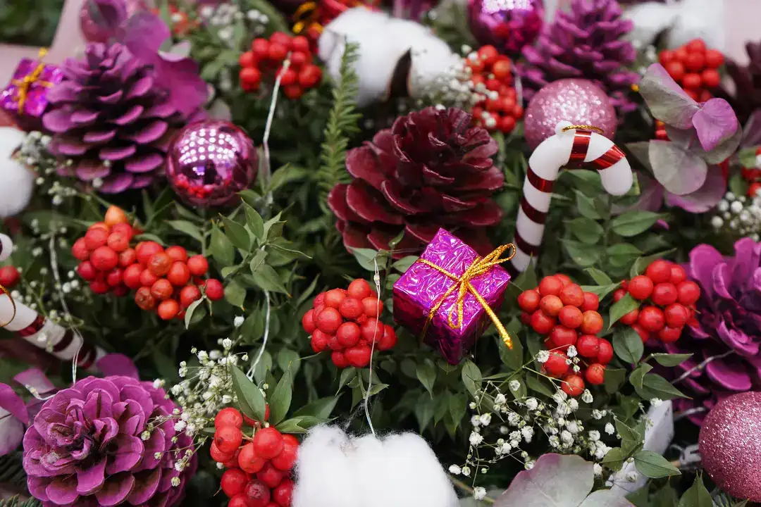 Antalya’da Yılbaşı Çiçeği Kokina 500 Liradan Başlıyor 8